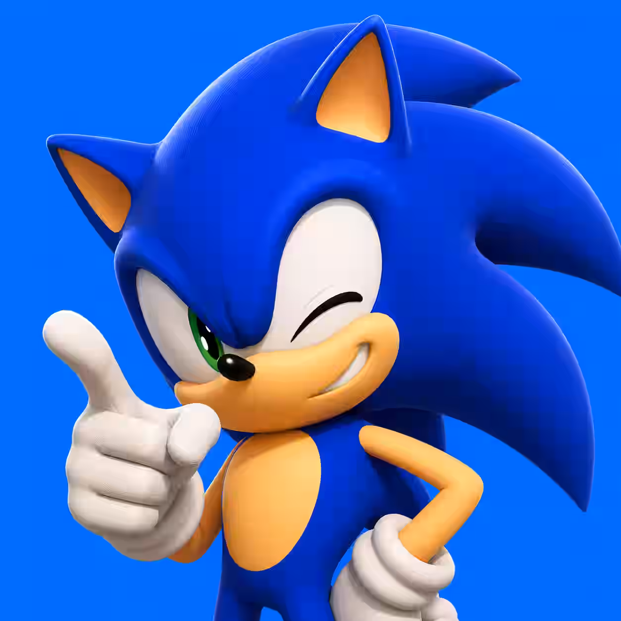 Sonic the Hedgehog winking and pointing with a confident smile, blue cartoon gaming profile picture on a bright blue background.